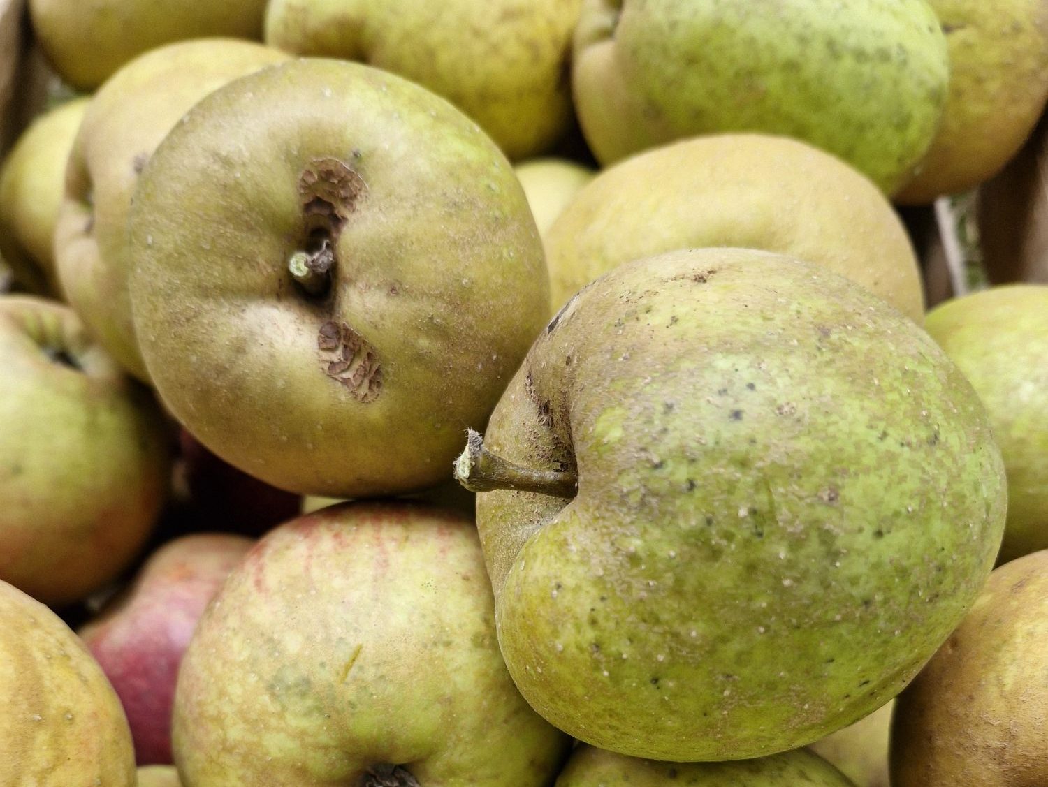 20250926 1606375862383652894660067.jpg