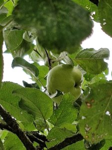 20250927 1558233709662618828563104.jpg