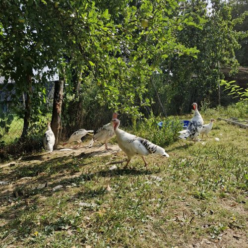 20250806 1058287116092817869989186.jpg