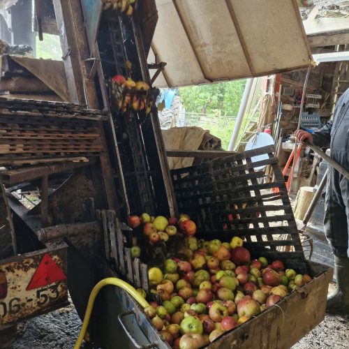 20251006 0954388945417277534157126.jpg