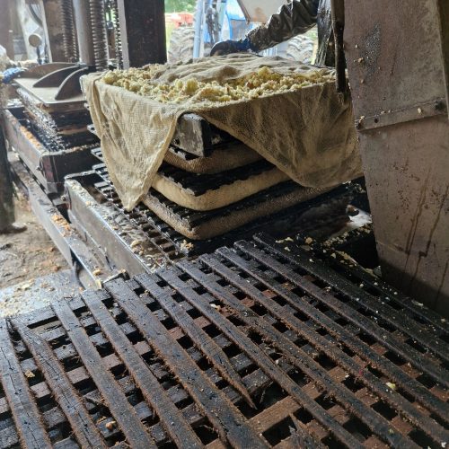 20251006 0954501305699963302166736.jpg