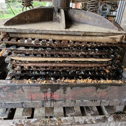 20251006 0955031129569397784300664.jpg