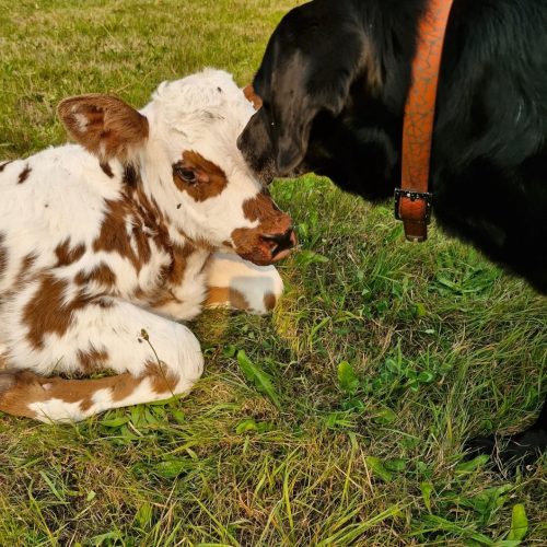 534318224 17896088760268730 5068299953321742812 n