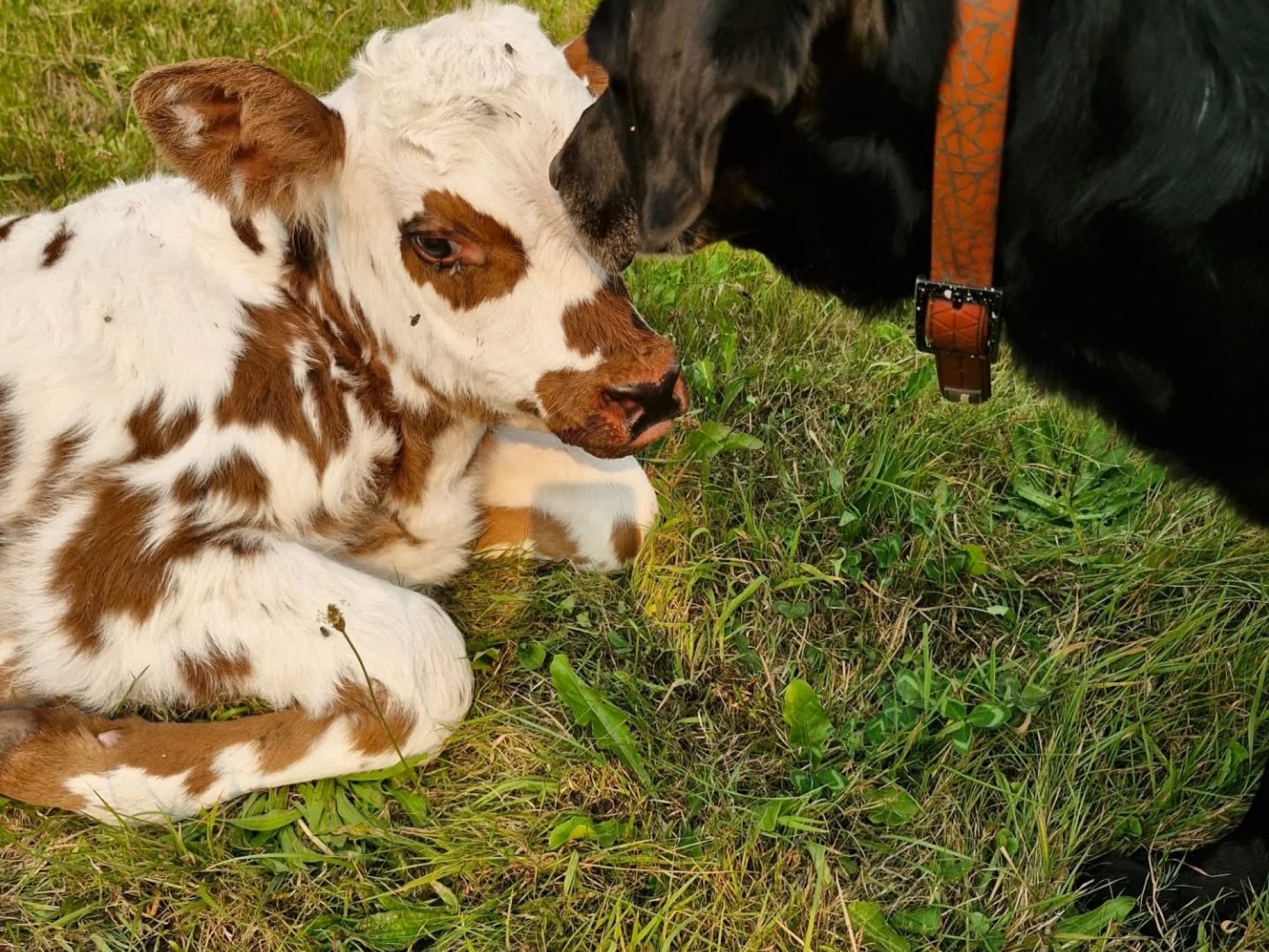 534318224 17896088760268730 5068299953321742812 n