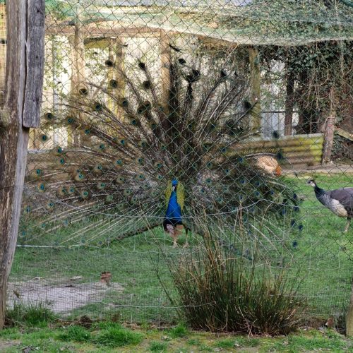 whatsapp image 2026 02 06 at 15.47.512