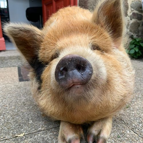 whatsapp image 2026 02 06 at 15.52.328