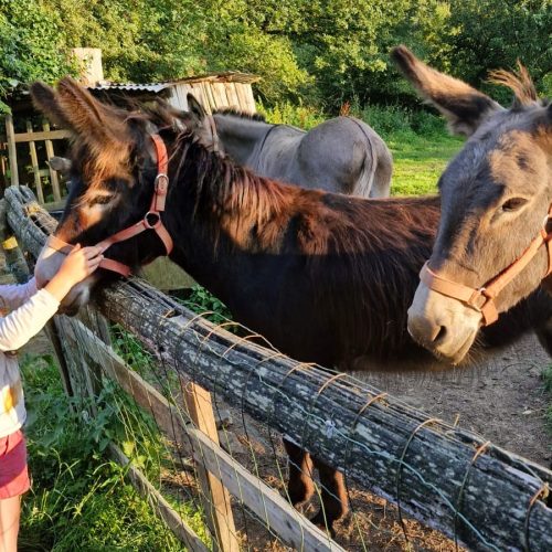 whatsapp image 2026 02 06 at 15.56.5926