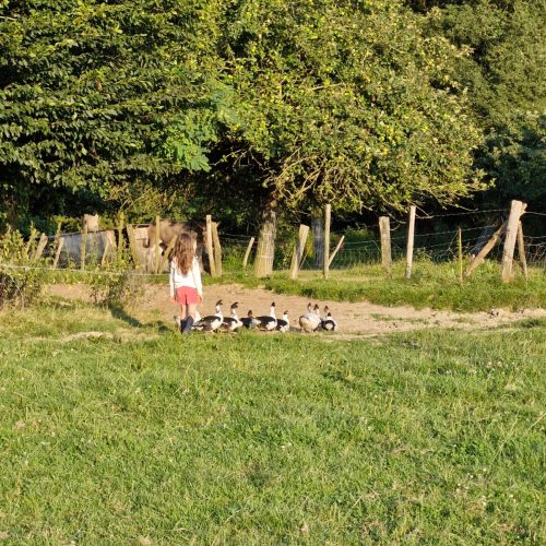 whatsapp image 2026 02 06 at 15.57.0055