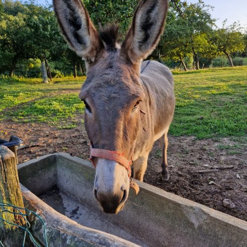 whatsapp image 2026 02 06 at 15.58.178