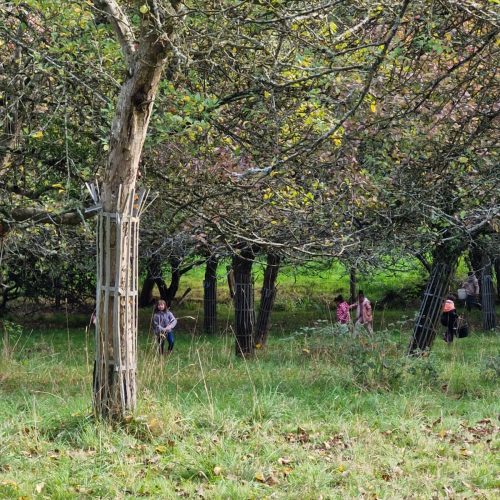 whatsapp image 2026 02 06 at 16.18.16