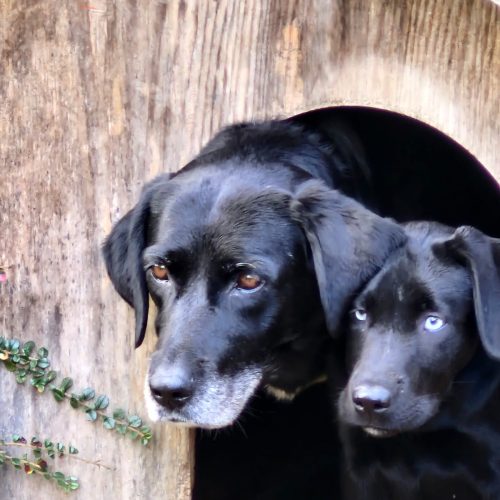 whatsapp image 2026 02 06 at 16.18.165