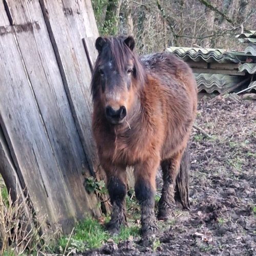 whatsapp image 2026 02 06 at 16.18.174